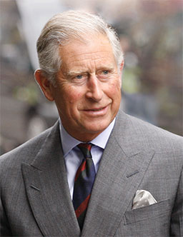 Son Altesse Royale le prince de Galles, Parrain royal