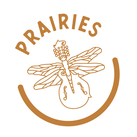 Prairies badge with instrument